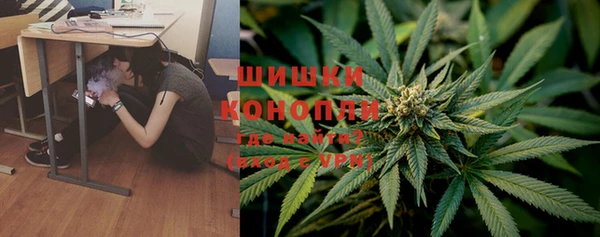сатива Алексин