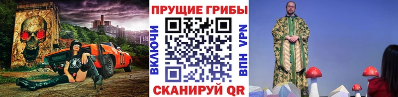 Псилоцибиновые грибы Cubensis Дмитриев